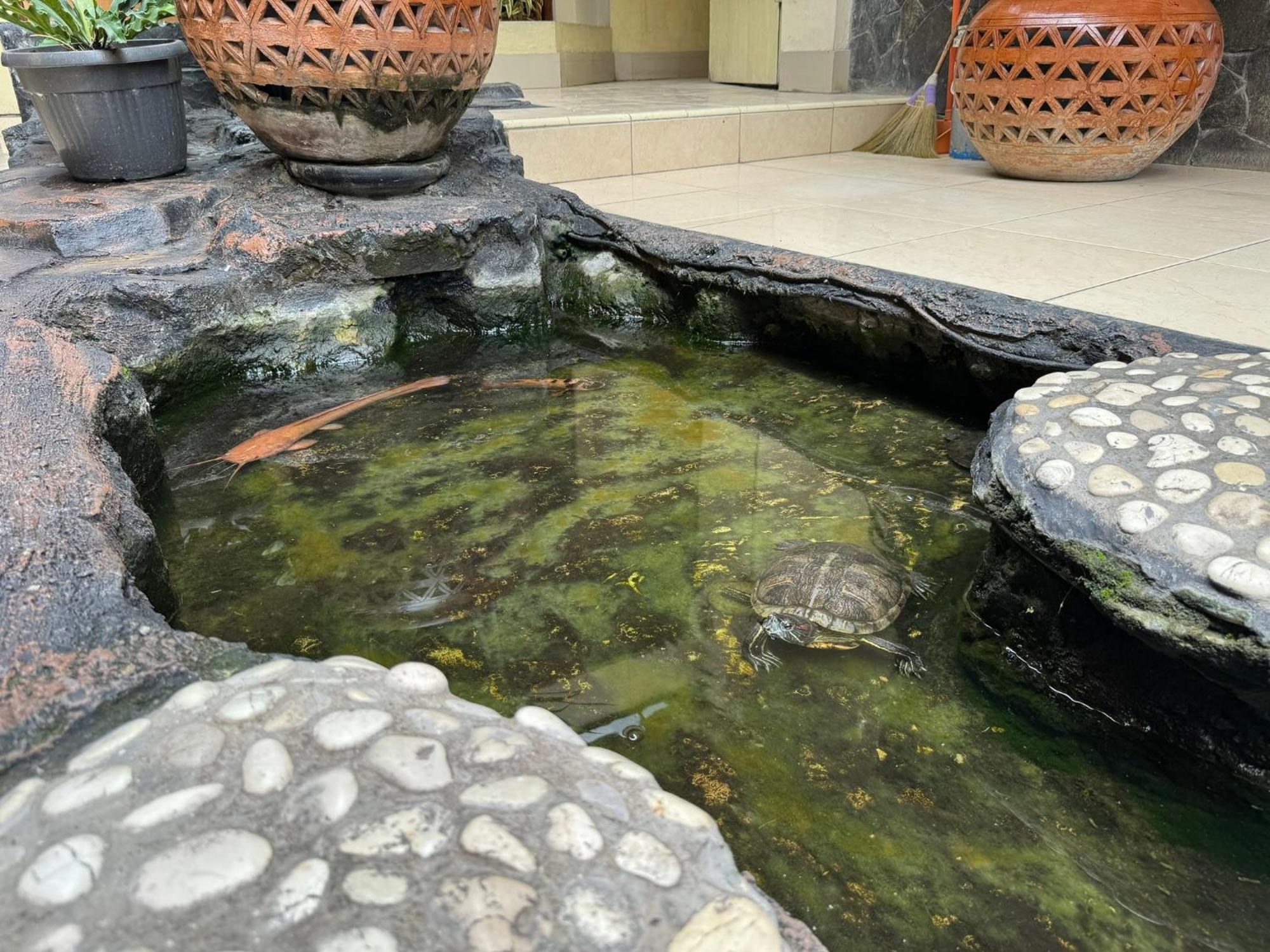 Hotel Priangan 井里汶 外观 照片