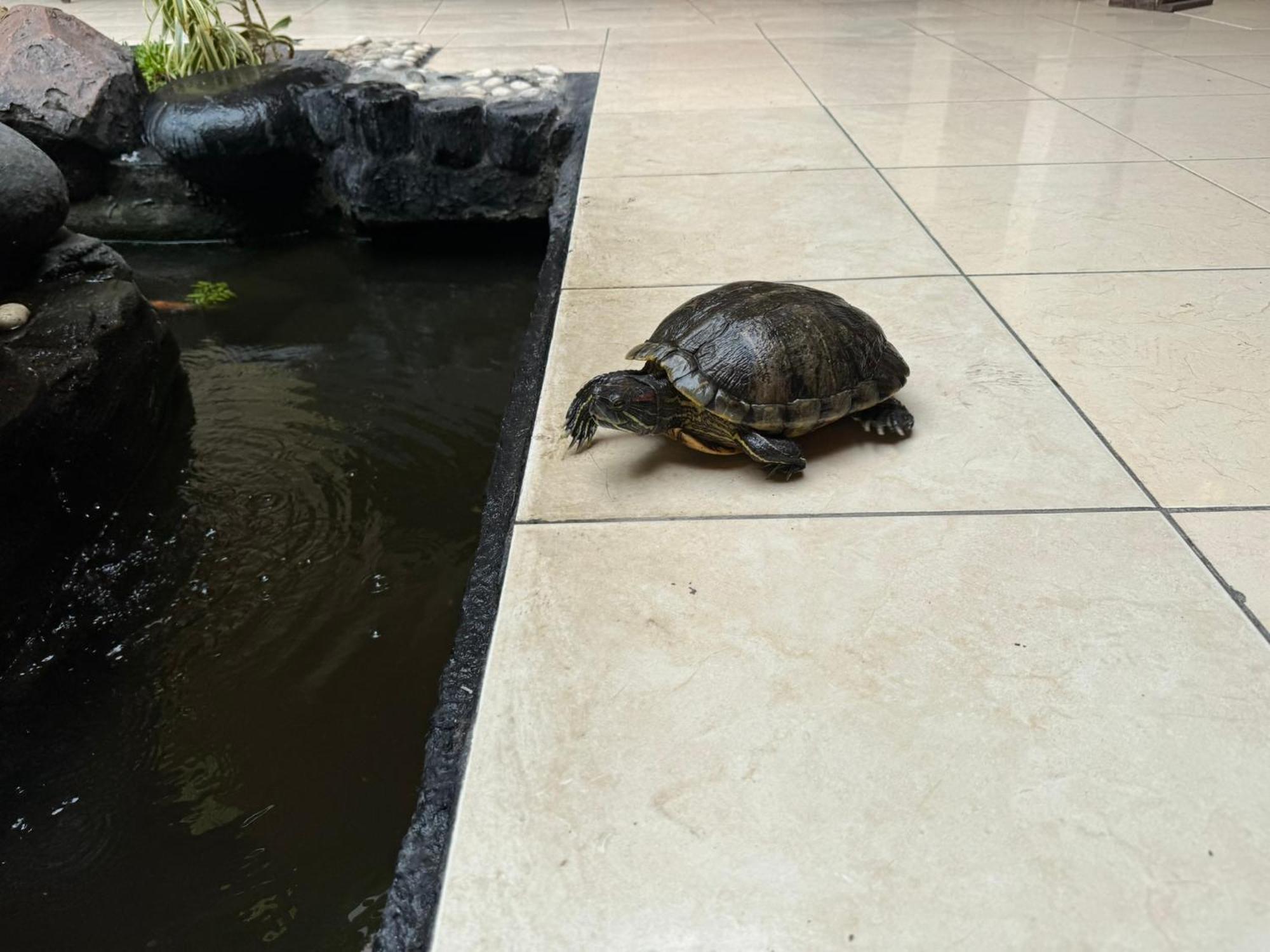Hotel Priangan 井里汶 外观 照片